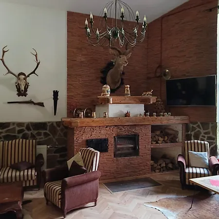 Srncek - Tatranska - Wellness, Bazen Apartmán Strba