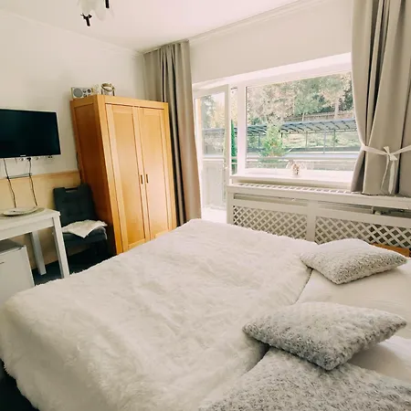 Srncek - Tatranska - Wellness, Bazen