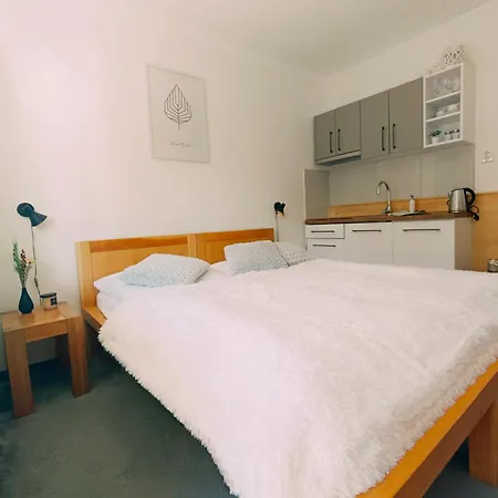 Daire Srncek - Tatranska - Wellness, Bazen *