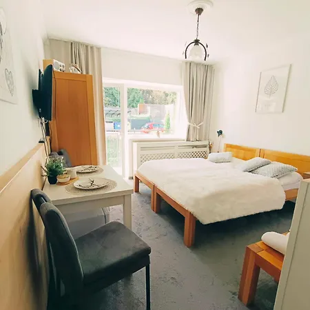 Srncek - Tatranska - Wellness, Bazen Apartmán Strba