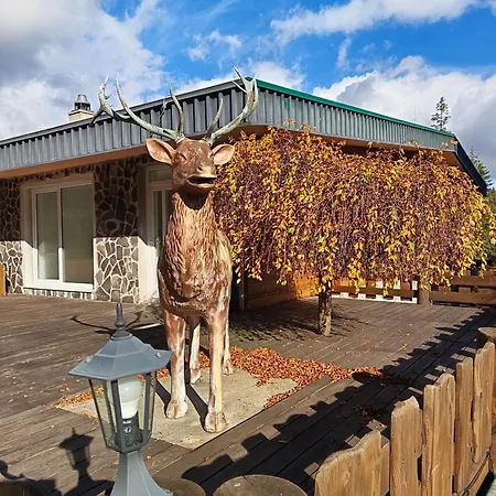 Srncek - Tatranska - Wellness, Bazen *