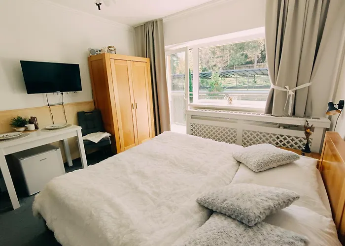 Srncek - Tatranska - Wellness, Bazen