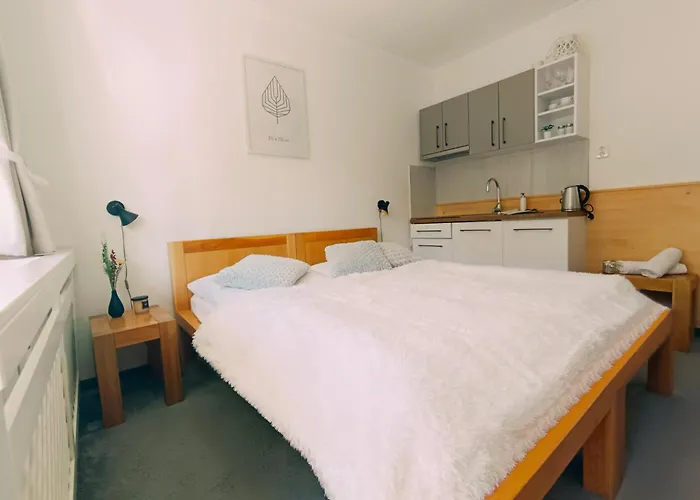 公寓 Srncek - Tatranska - Wellness, Bazen *