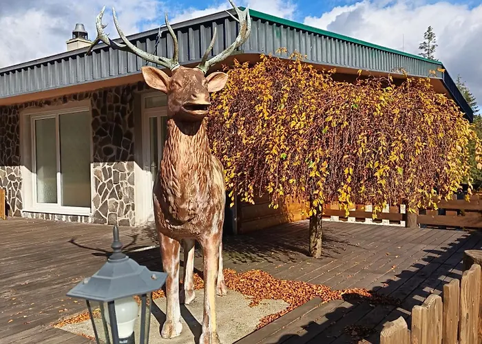 Srncek - Tatranska - Wellness, Bazen *